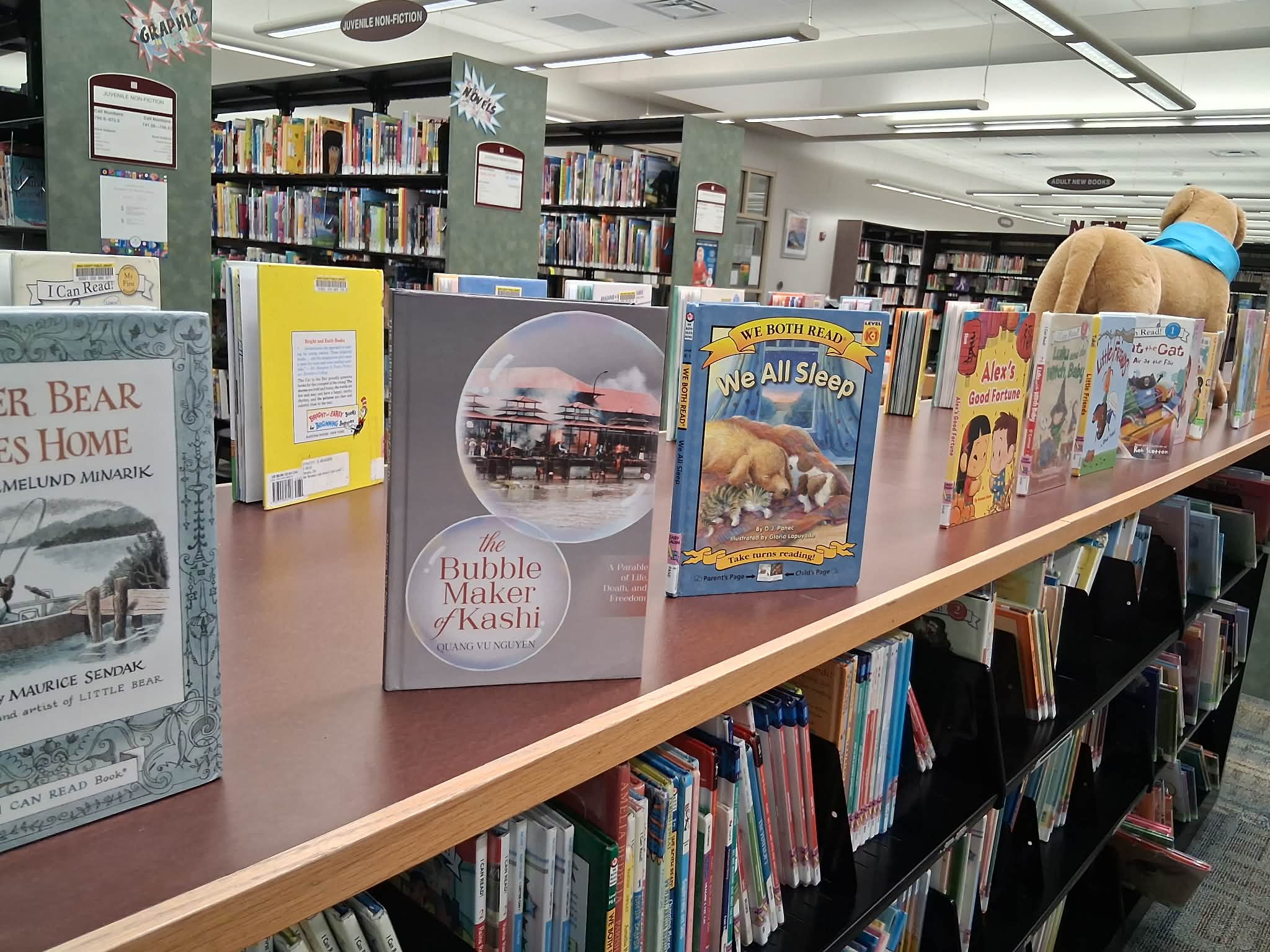 Library Display